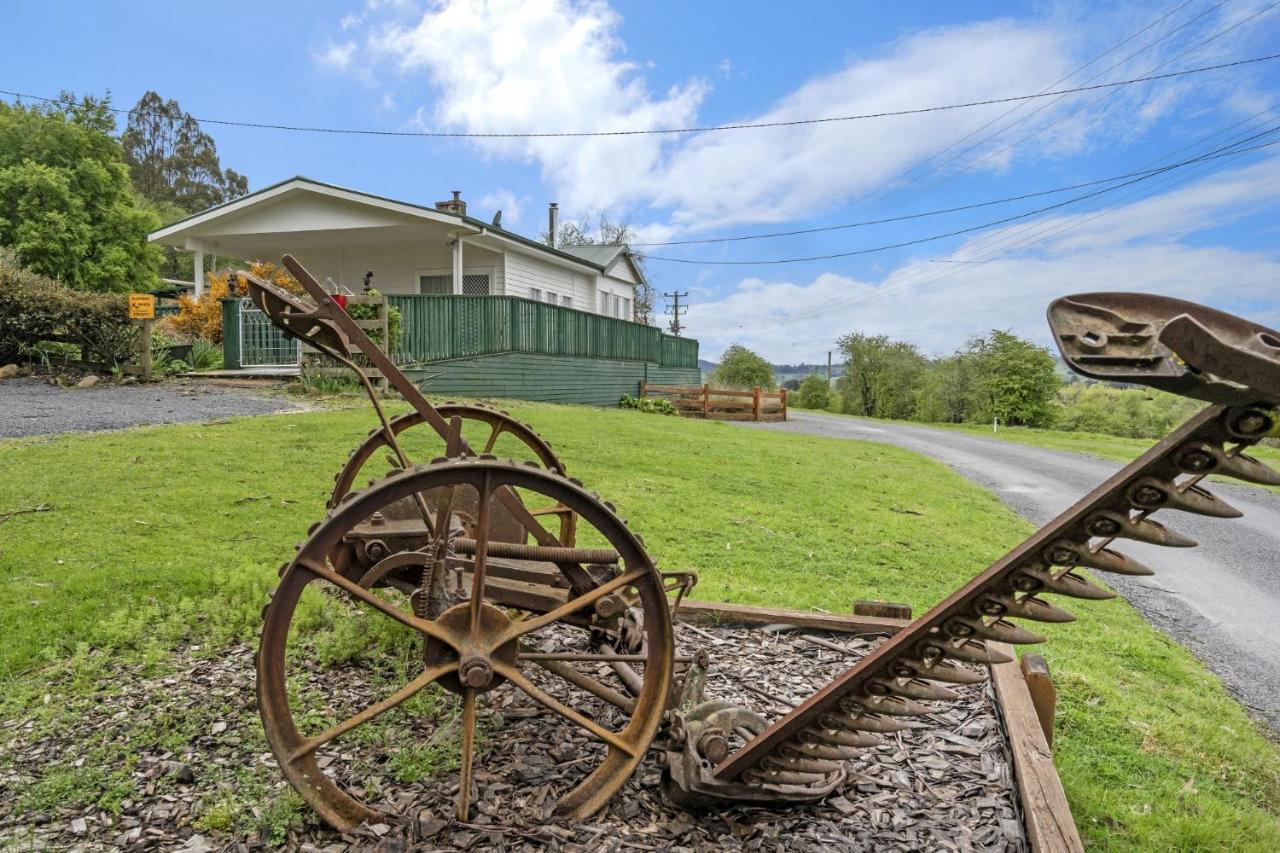 โมล ครีก เคบินส์ Hotel Mole Creek ภายนอก รูปภาพ