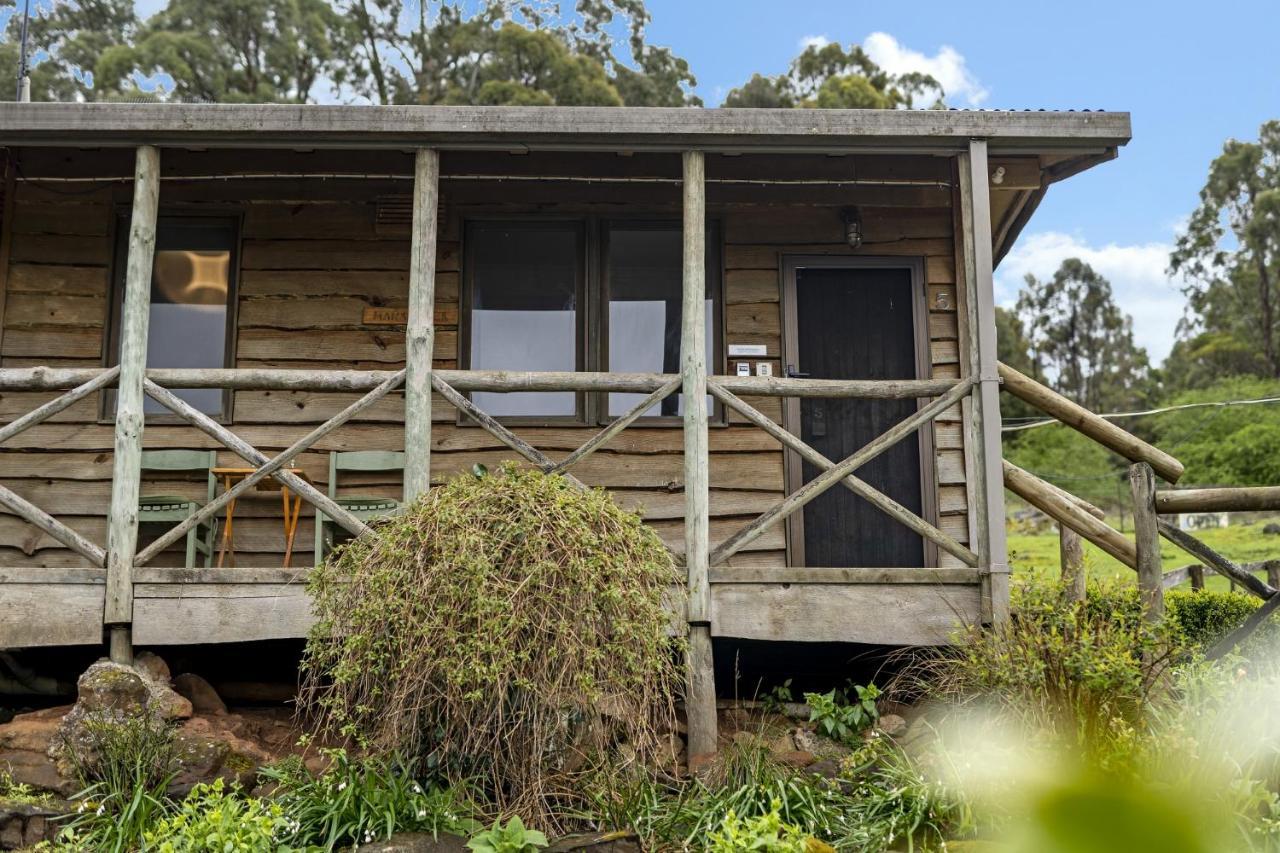 โมล ครีก เคบินส์ Hotel Mole Creek ภายนอก รูปภาพ
