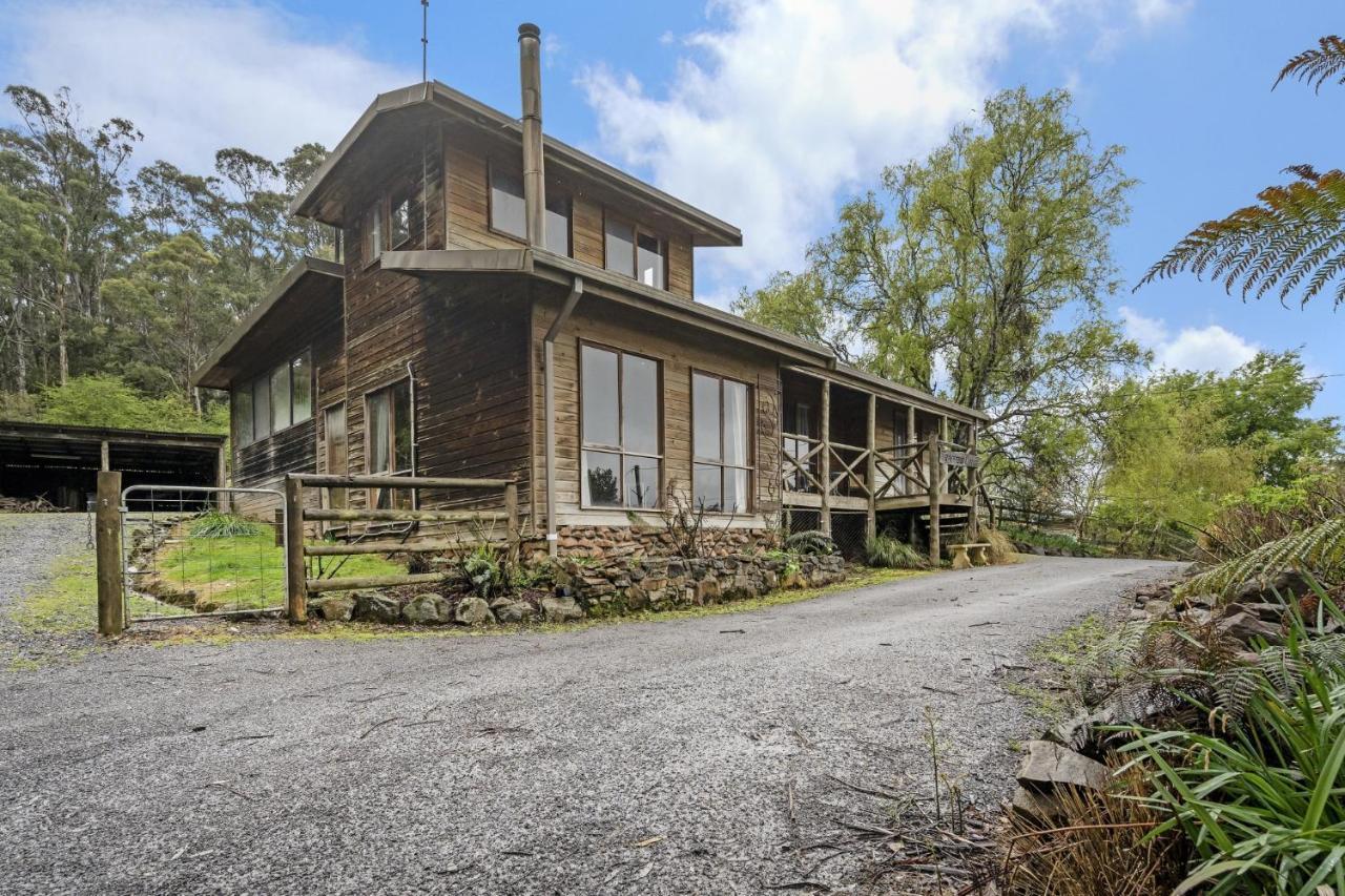 โมล ครีก เคบินส์ Hotel Mole Creek ภายนอก รูปภาพ